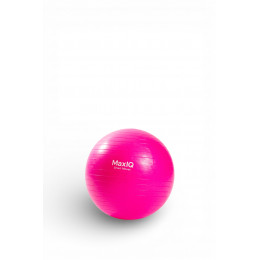 Balance exercise ball (fitball), diameter 55 cm MaxIQ-MD1225